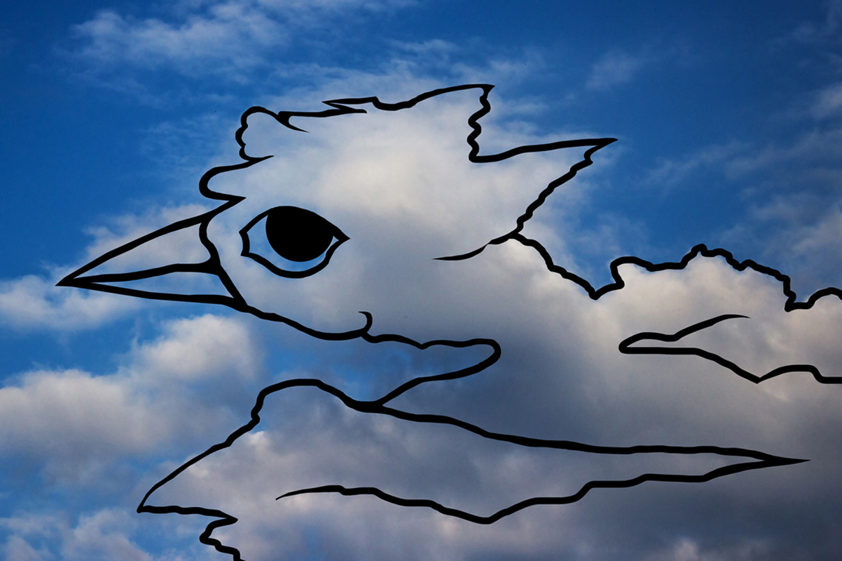 Wolkenhuhn